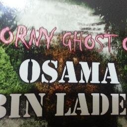 PRResurrector's profile picture. Author of new novel- Horny Ghost of Osama bin Laden