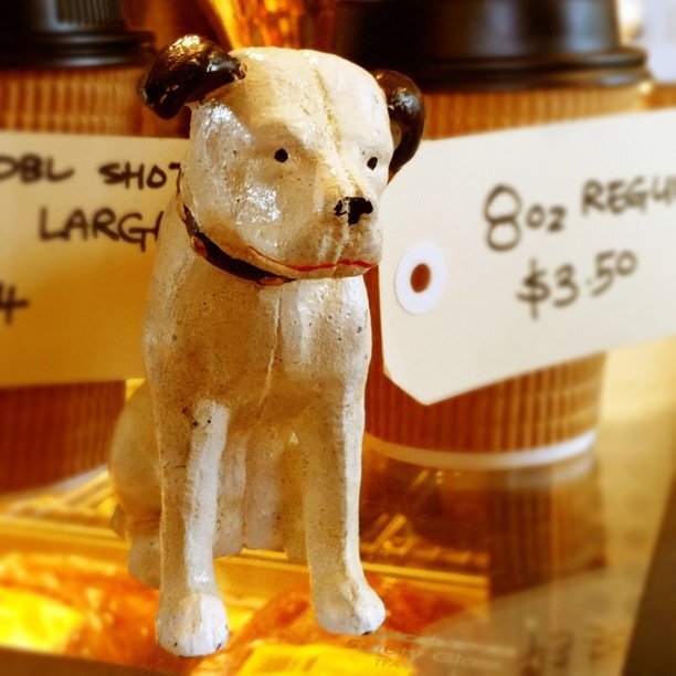 BDog4102's profile picture. Brown Dog Cafe, Woolloongabba 4102. Sit. Stay.