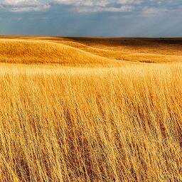 CompareTopTrave's profile picture. Search Several Travel Site Search Engines From our Travel Site.  Check out Our World Renowned Travel blog - http://t.co/qhptEIces1