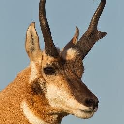 oooooooooooooooooo