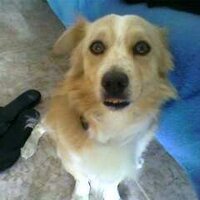 Jorge Bravo (@jbravlopez) 's Twitter Profile