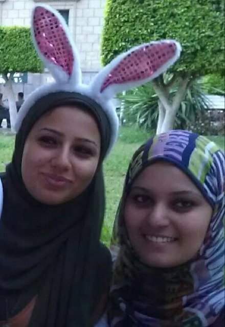 gogo_hesham's profile picture. 