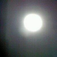 かつてえへっだったもの (@yosidasan_bot) Twitter profile photo