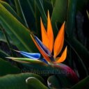 Mabel Evans - @MabelEvans12 - Twitter