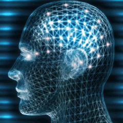 Business Intelligence professional with particular expertise in the Microsoft toolset and QlikView