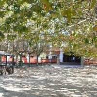 Colegio Montessori (@cmontessori) 's Twitter Profile
