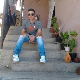 paradecsongor's profile picture. 