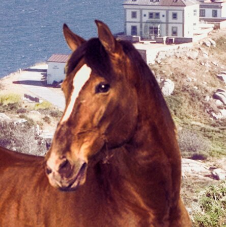 Si un Polo sale desde Cap de Creus y un caballo desde Finisterre, ¿dónde se encontrarán? Resuelve la #EcuaciónPolo y ¡llévate un Volkswagen Polo!