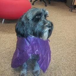 We are the HCA office pooches and waste disposal system.