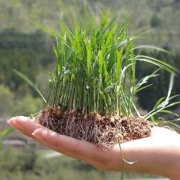 佛教大学酒づくりプロジェクトの活動の様子など様々なことを発信していきます！