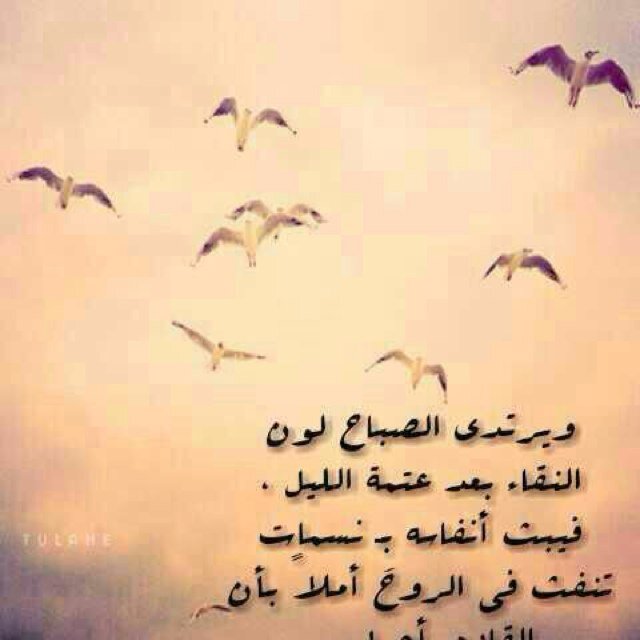 فوق الارض