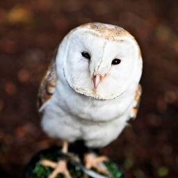 GAcresWB_Epping's profile picture. Set in beautiful mature woodland, with stunning ceremonial building, our burial park offers you complete freedom of choice, and full support from our staff.