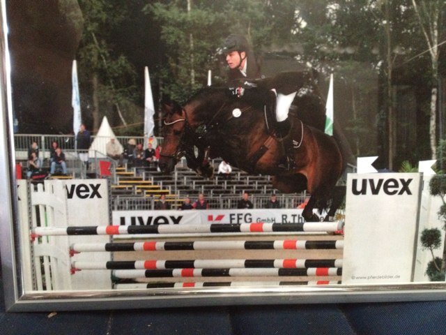 International showjumper from South Africa living and training in germany