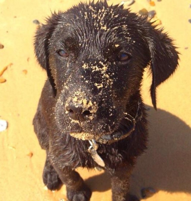 chilworth's profile picture. Theatrical Agent