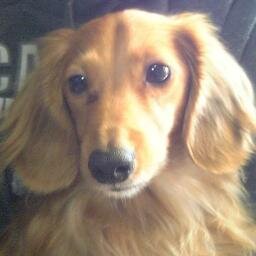 super_yottyo's profile picture. 「私は私」、「君は君」、「人は人」、「鳥は鳥」･･･そんな考えです･･･私。
#ForzaMotorsport #ForzaHorizon5 #HaloInfinite #CoDBO6 #Warzone2 #EAFC25 #Diablo4  #windows #xboxSeriesX #Steam #Switch2