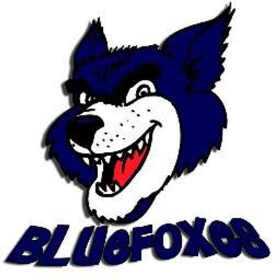 Bluefoxes