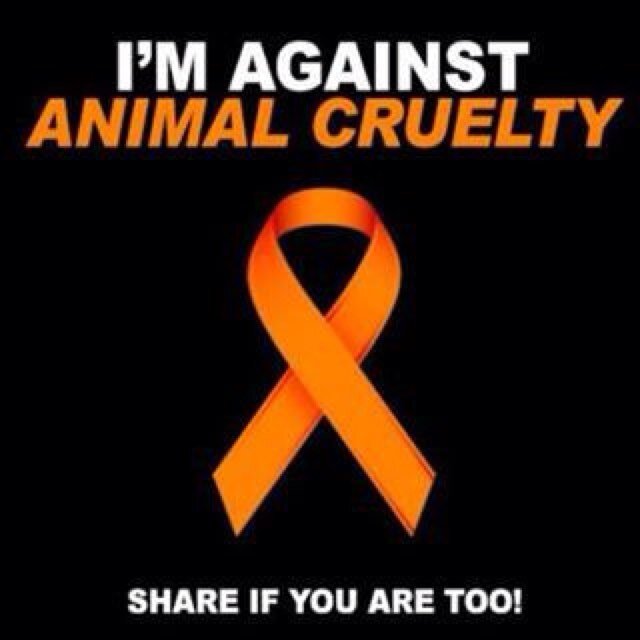 Help me make a change, help me stop animal cruelty.
