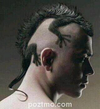 Optimis