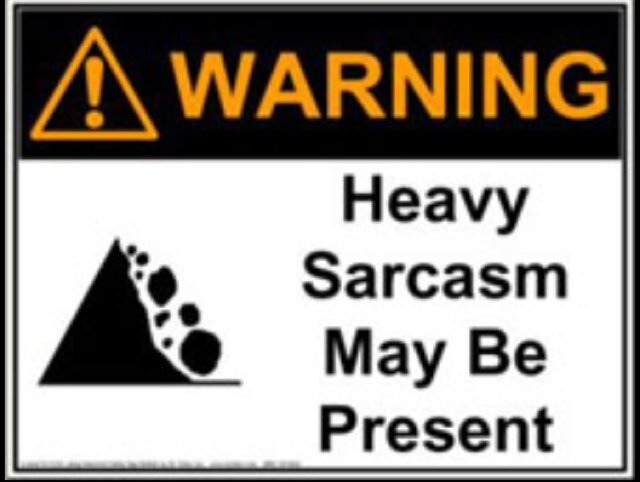 Everything I Say Is Serious