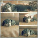 ebony & ivory - @nogirl97 - Twitter