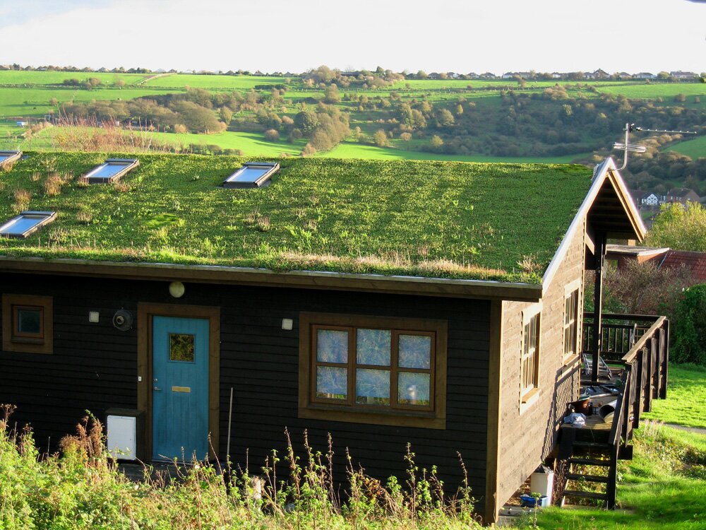 Los techos verdes son una alternativa sustentable, ecológica y económica. De ésta forma contribuimos a generar espacios verdes que hemos perdido.