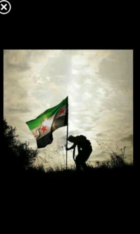 kalidk941's profile picture. 