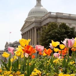 BCPlemmons's profile picture. 