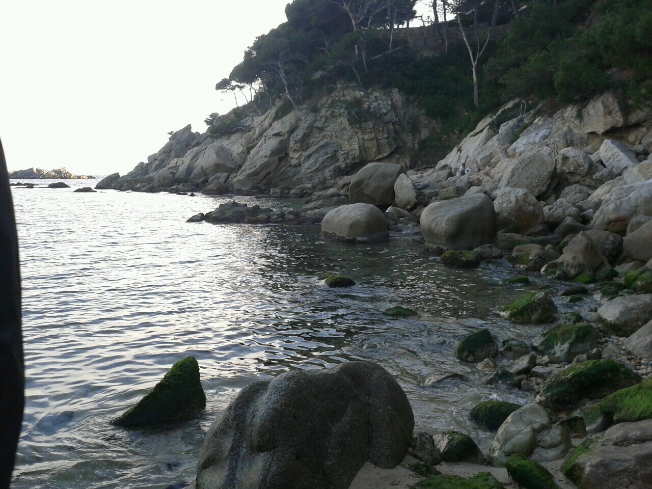 estherrd1's profile picture. 