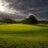 VinesGolfClub's profile image