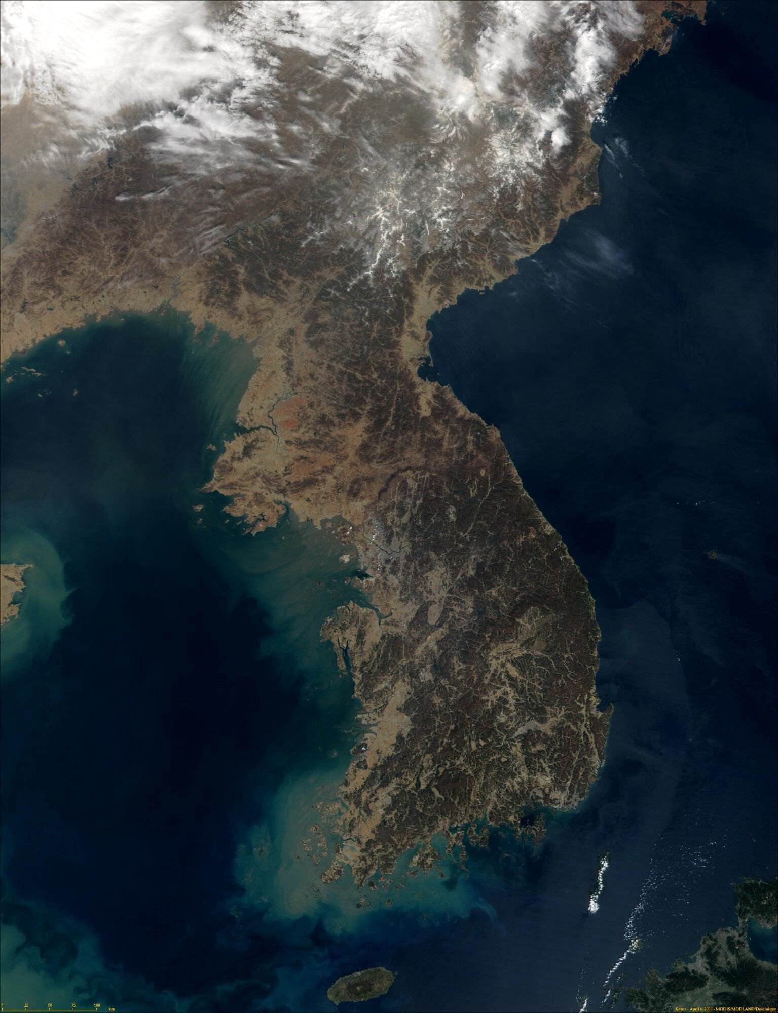 진정한 애국 보수 우파