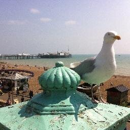 Stuff.  Lives Brighton. Works Bibendum, views own. BHAFC SCCC