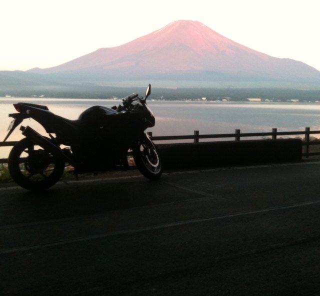 pepenosuke3431 Profile Picture