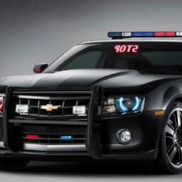 Future Crime Fighter ---B.S. in Criminal Justice & Criminology