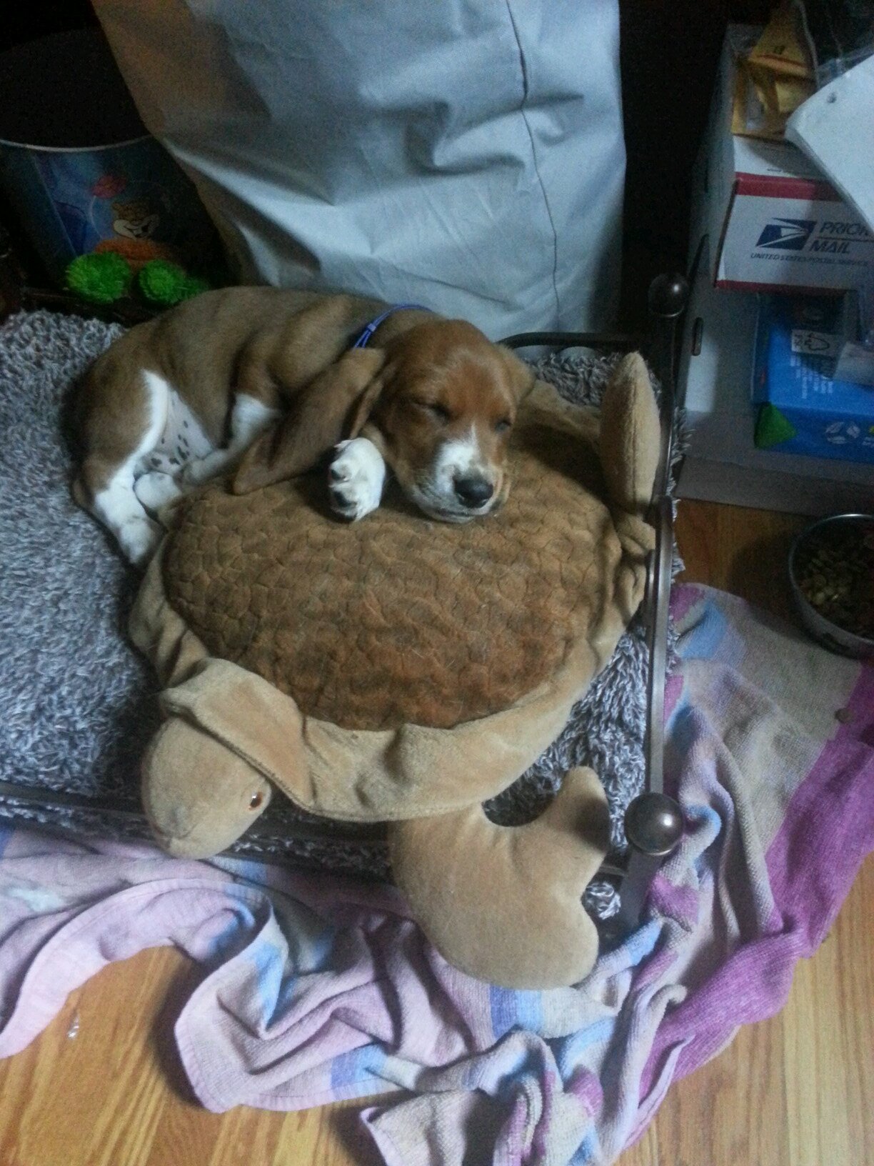 KEdwards17's profile picture. 