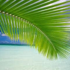 sufyanAbouqays's profile picture. Quiconque à qui ALLAH veut du bien, IL lui accorde la compréhension de la religion (sur la voie des pieux prédécesseurs)