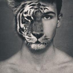 ME SIGAM, SIGO TODOS DE VOLTA!