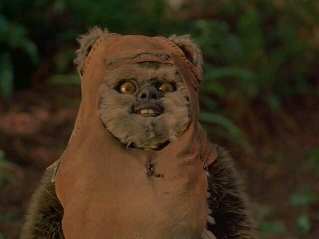 k_dimasik's profile picture. 