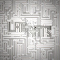 Lab Rats is about a lab tech at a low-end firm who hates her job, and an out-of-work musician who makes money by signing up for all their tests.