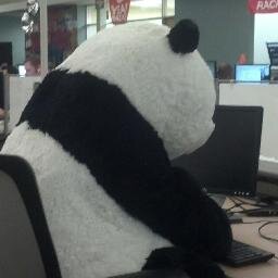 RackerPanda's profile picture. I'm a Panda at Rackspace