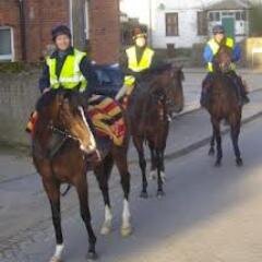 Brought up in the world of horse racing and been there ever since........