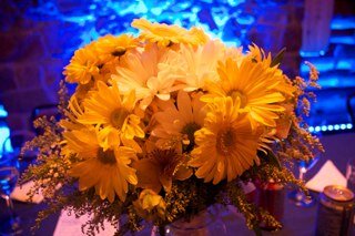 Anything about #Montreal #Wedding #DJ's. Follow us if you are looking for a DJ or are a DJ. We #followback