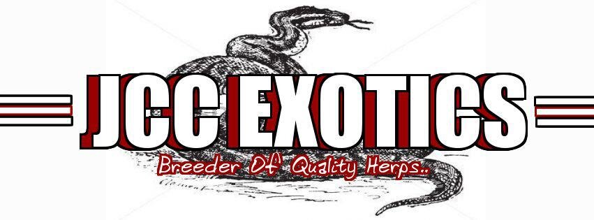 JCC_Exotics's profile picture. 