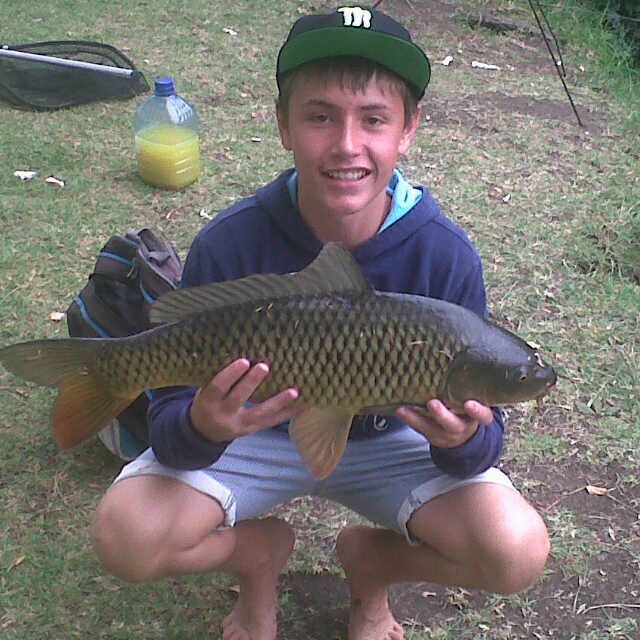 hano_23315's profile picture. I love animals and sport