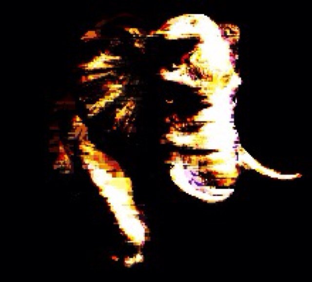 202gone808's profile picture. long live Apple® products and rock on always! sprichst deutsch! https://t.co/uulWhXWOWa