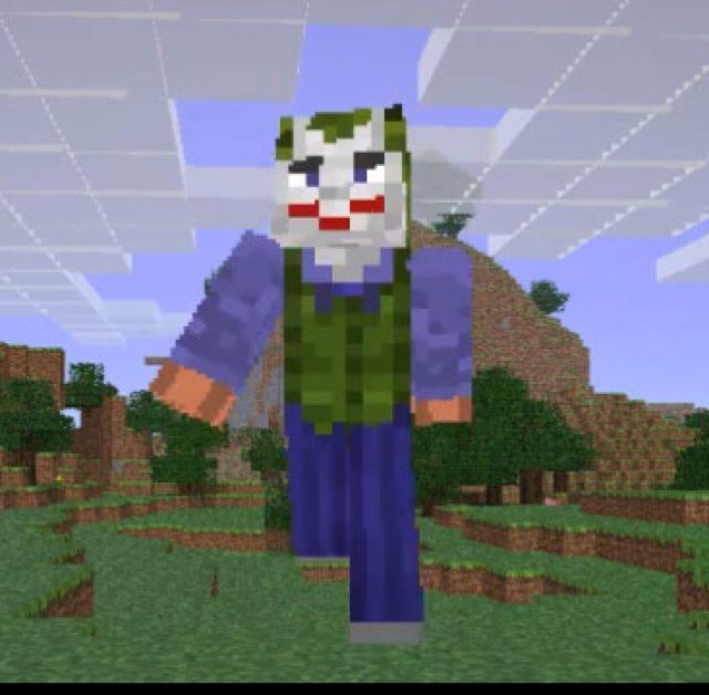 Whitelisted Minecraft server.