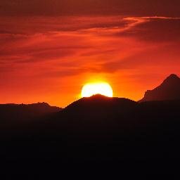 blackblackwolf2's profile picture. 