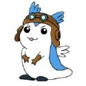 サニーさんのプロフィール画像