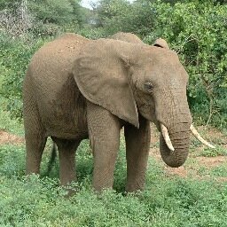 DeelenWilfried's profile picture. lecturer sports & leisure management-trainer experiential learning, hospitality & guiding-nature & health-experience design-sustainable tourism-nature values