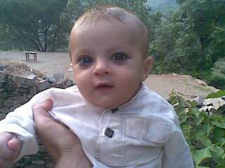 5Mohamadjamil's profile picture.