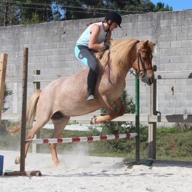 Esmeralda_G_A's profile picture. 16/Soñadora y Amazona/Amante de los animales/ @aracelyarambula como actriz y inspiración /nunca dejes de creer en tus sueños y lucha por ellos :)